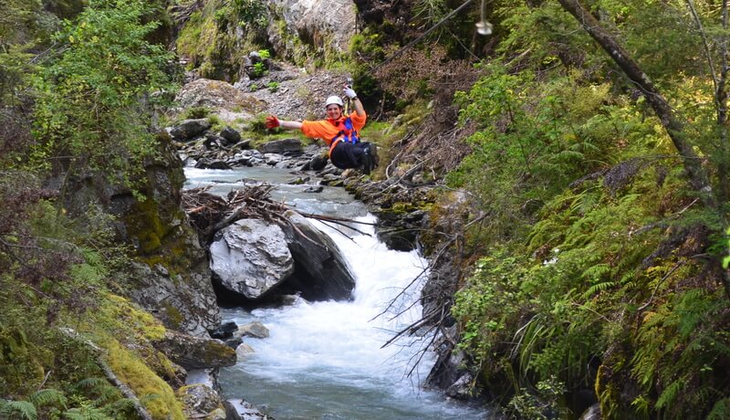 Why Guests Love Paradise Ziplines: An Unforgettable Zipline Adventure Near Queenstown, New Zealand